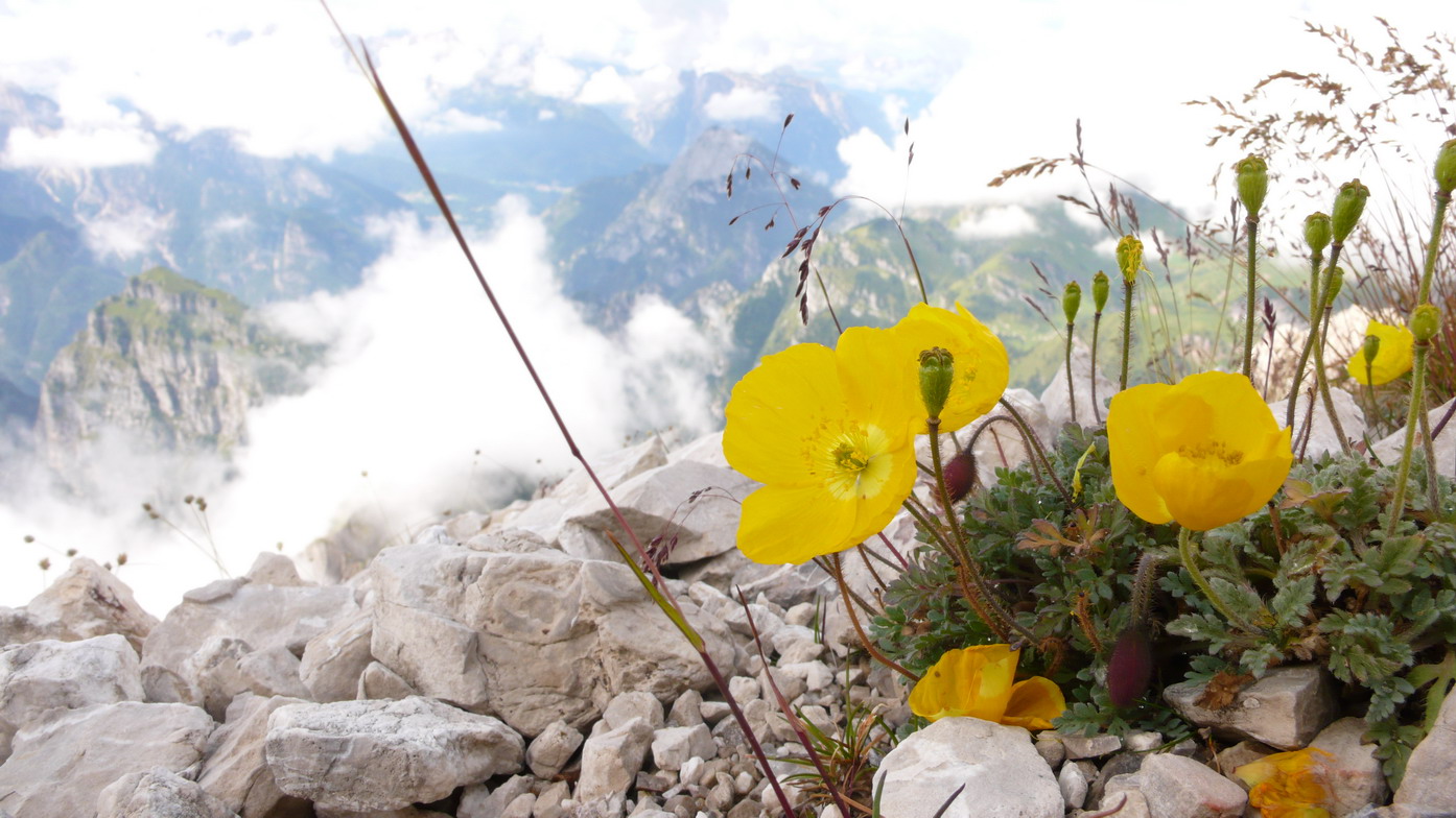 La val de Piero e Schiara nel parco delle dolomiti bellunesi